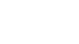 Leon Lapa Pereira 