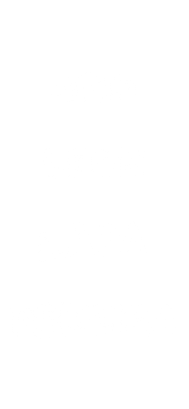 Leon Lapa Pereira 